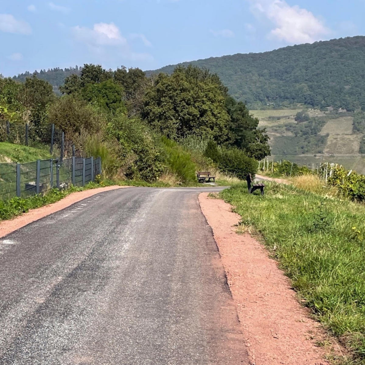 Asphaltierter Barlrundweg ab dem Seniorenheim Zell.