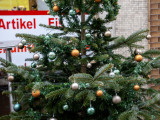 Baum Nr. 15 - Zeller Büdchen - Weihnachtsbaumwettbewerb 2024