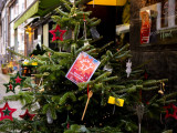 Baum Nr. 17 - Hotel Zum Grünen Kranz - Weihnachtsbaumwettbewerb 2024