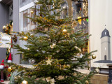 Baum Nr. 9 - Genusswerk - Weihnachtsbaumwettbewerb 2024