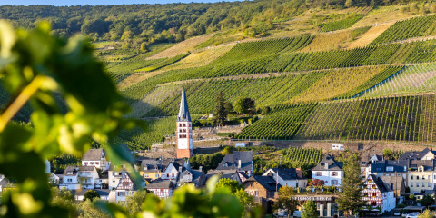 Blick aus den Kaimter Weinbergen in Richtung Merl