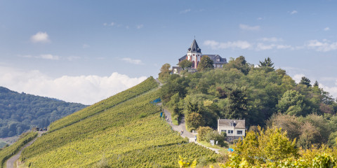 Blick aus den Weinbergen über Kaimt in Richtung Marienburg - Foto: Inge Faust