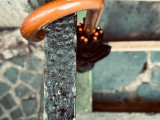 Foto von Ellen Helfrich