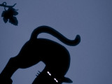 Foto von Marie Claire Karls