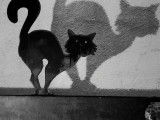 Foto von Michael Frank