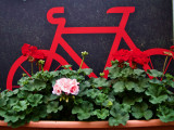 Foto von Michael Frank