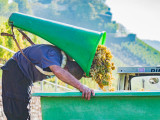 Ein Mann leert seine Traubenbütte in den Erntewagen aus
